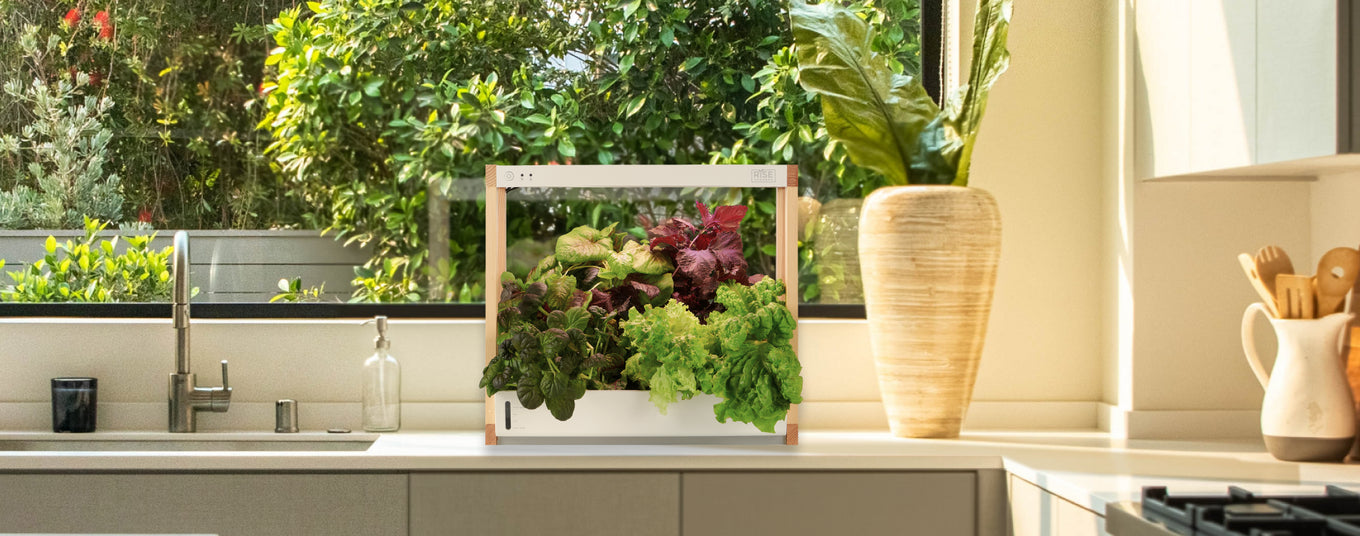 Huerto Inteligente de Interior Rise Gardens – Personal Garden
