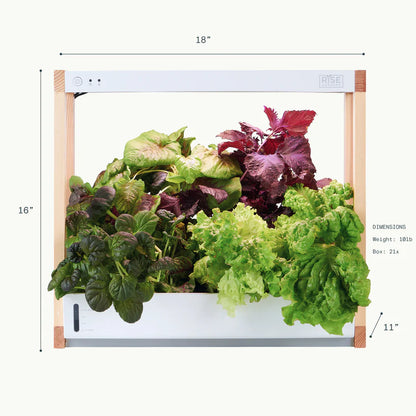 Huerto Inteligente de Interior Rise Gardens – Personal Garden